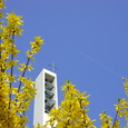 Blühende Gemeinde Linz-St. Peter. © Pfarre Linz-St. Peter